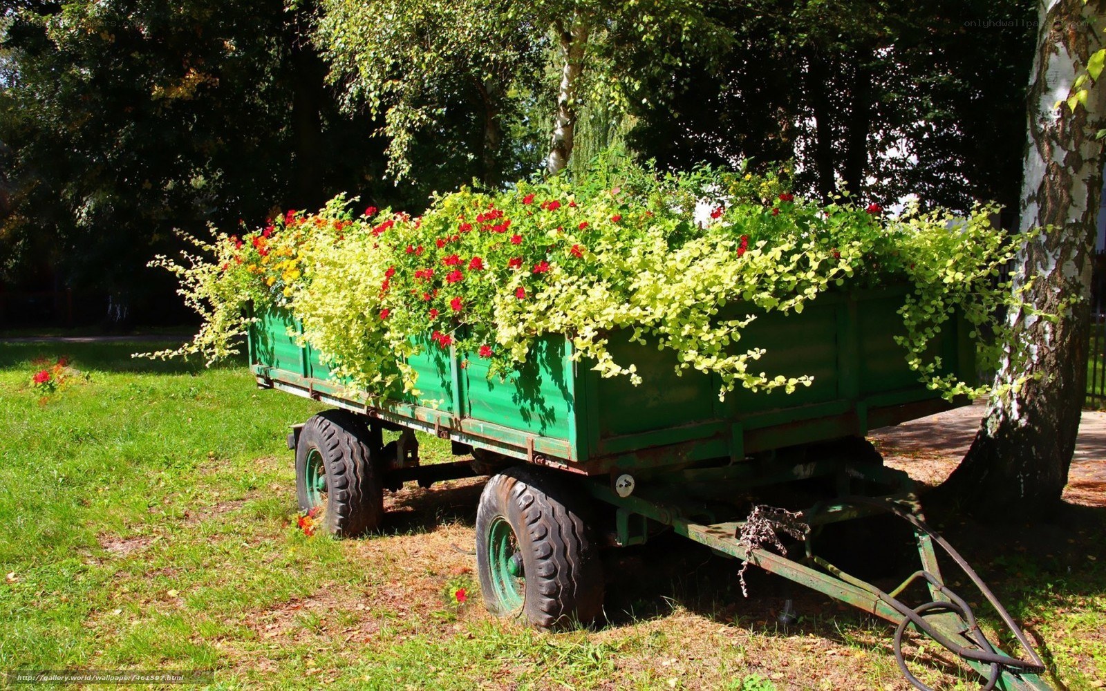 Flower-filled trailer in park