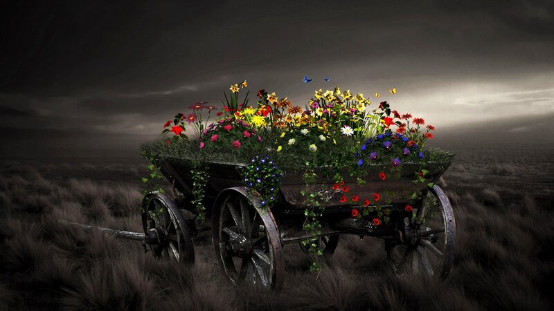 Flower-filled Wagon — Dark, Dramatic