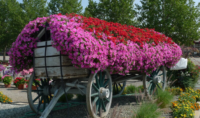 Flower-filled wagon display