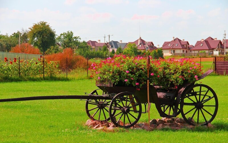 Flower-filled Wagon — Green, Serene, Afternoon