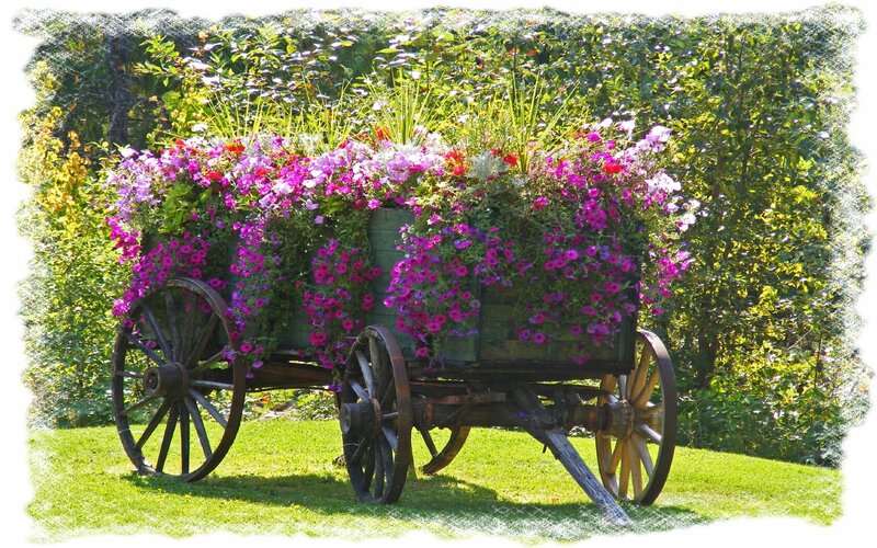 Flower-filled wagon in garden