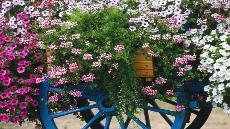Flower-filled wagon wheel