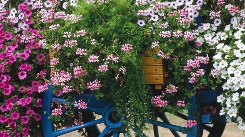 Flower-filled wagon wheel