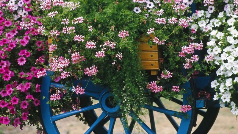 Flower-filled wagon wheel