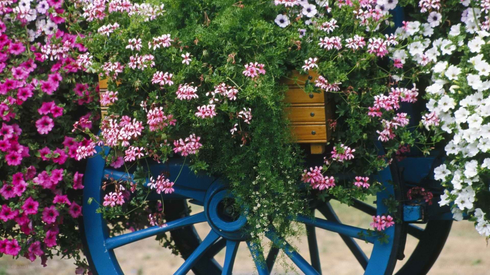 Flower-filled wagon wheel