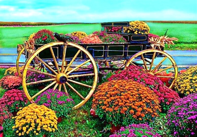 Flower-filled Wagon — Yellow, Vibrant