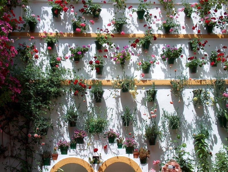 Flower-filled Wall