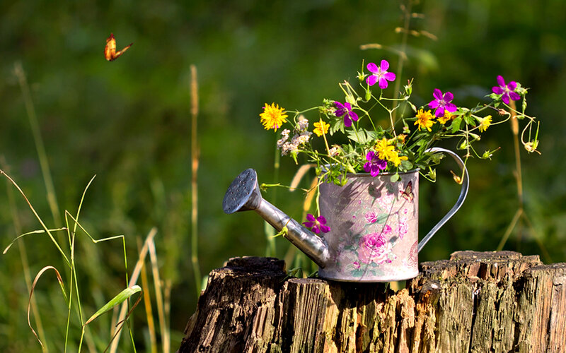 Flower-filled Watering Can — Green