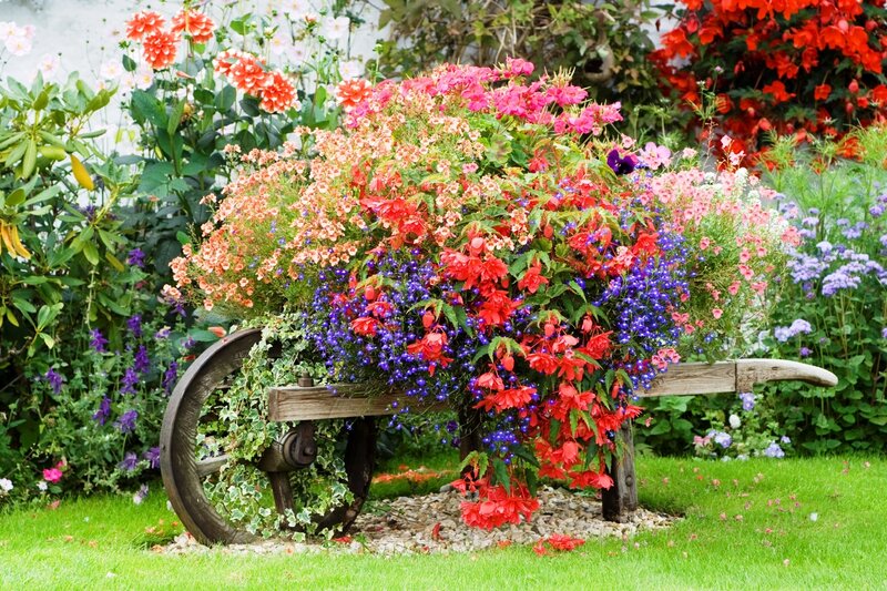 Flower-filled Wheelbarrow — Red, Colorful