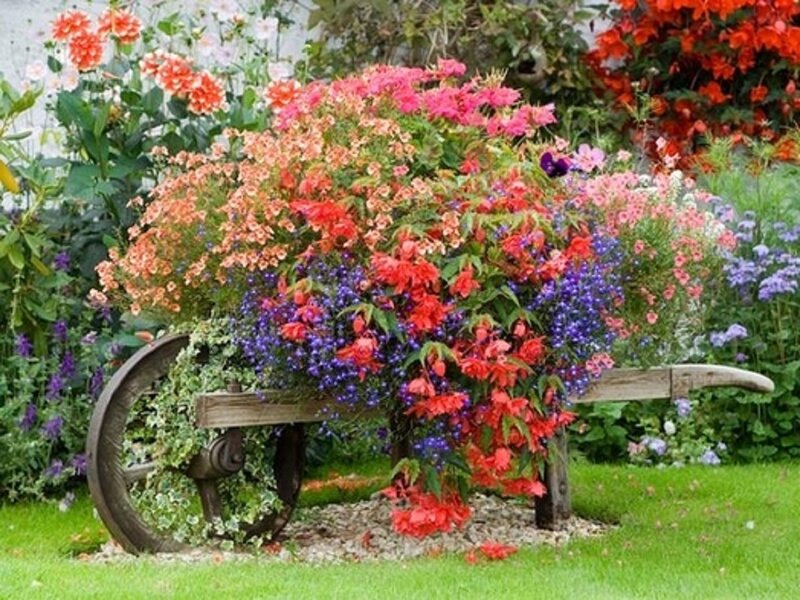 Flower-filled Wheelbarrow — Red
