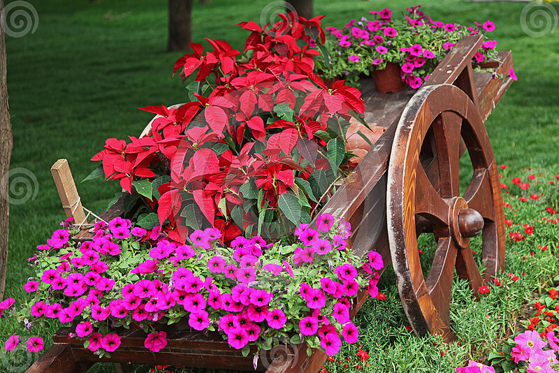 Flower-filled Wheelbarrow