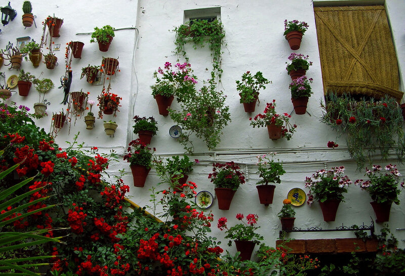 Flower-filled White Wall