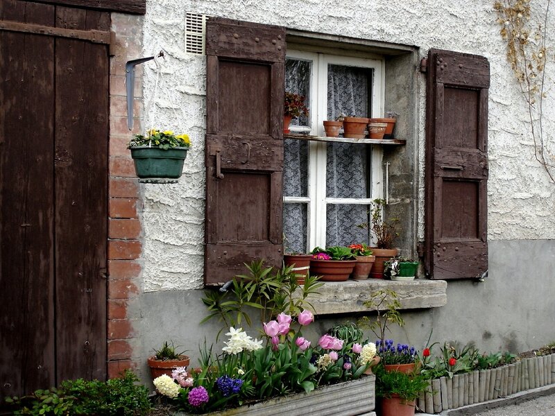 Flower-filled window in a rustic house