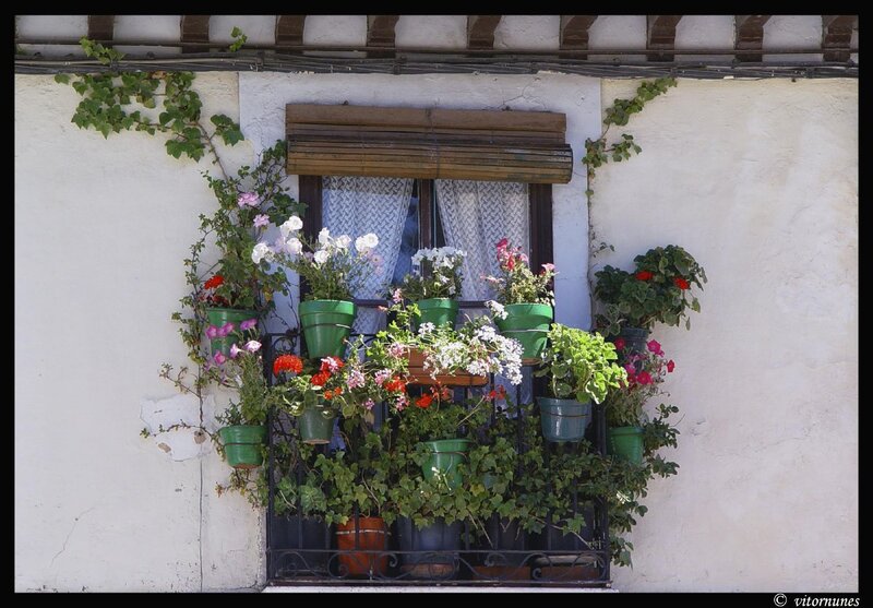Flower-filled window in Spain