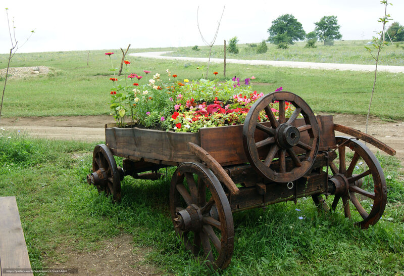 Flower-filled wooden cart in field