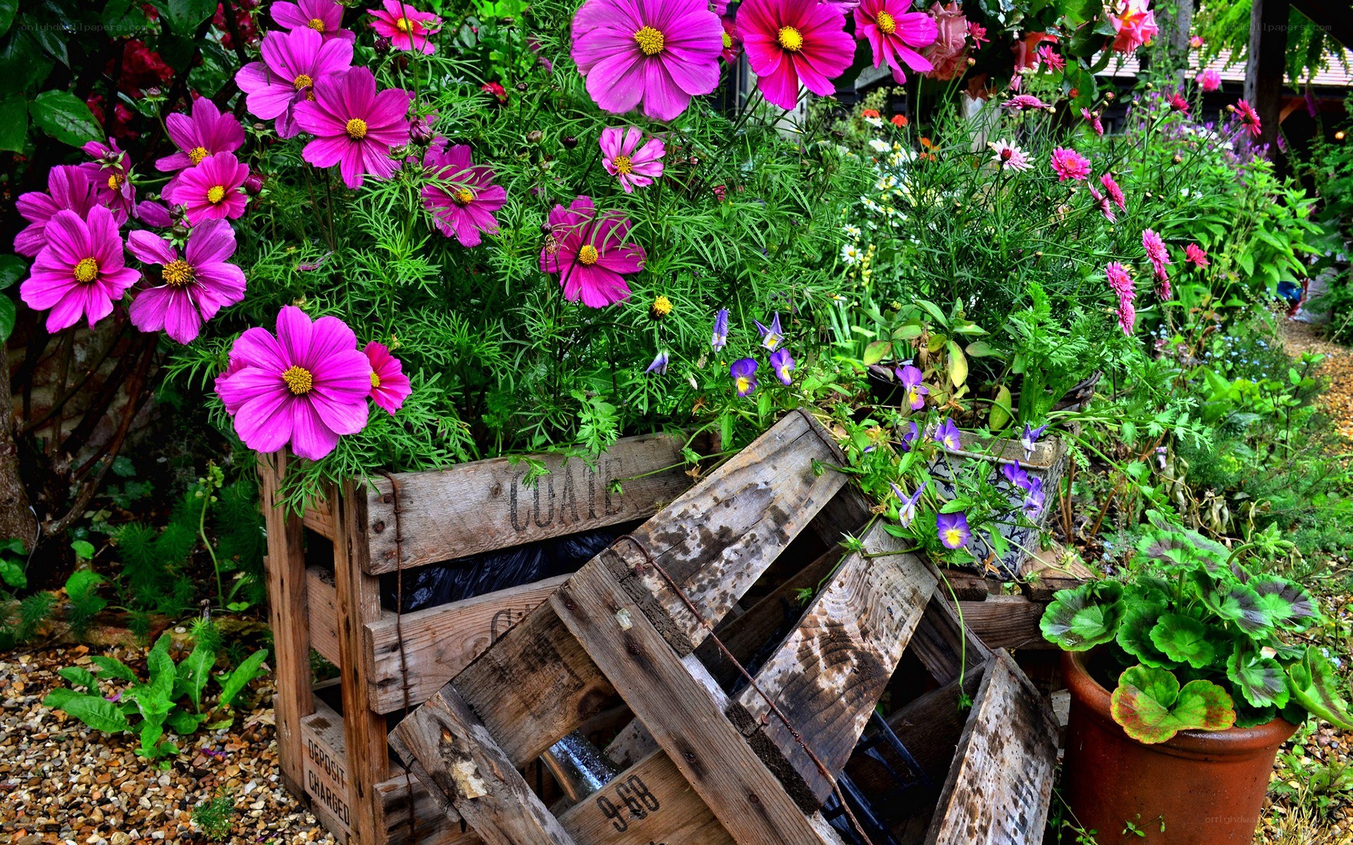 Flower-filled wooden crates