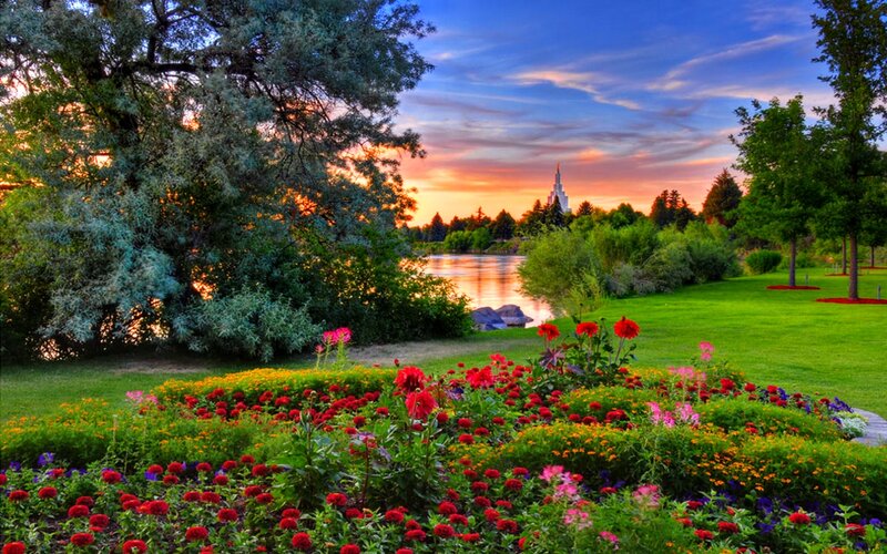 Flower Garden at Sunset