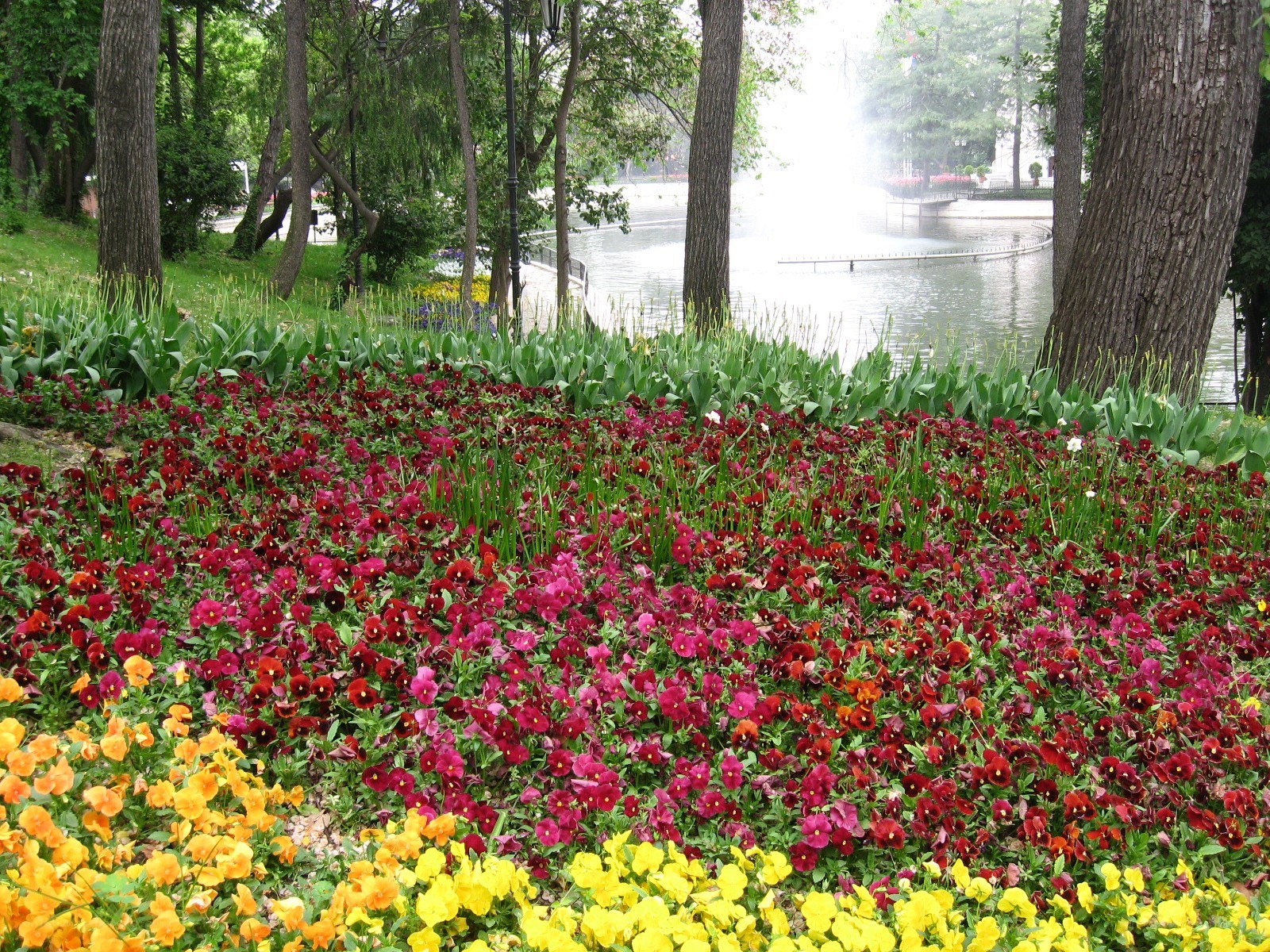 Flower garden by a lake