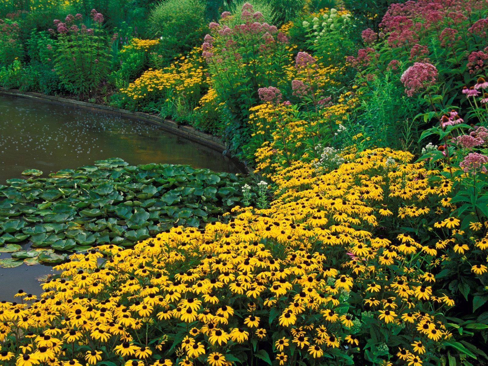 Flower garden by a pond