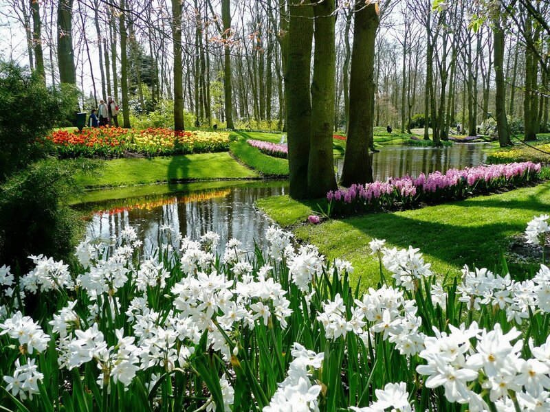 Flower garden by a pond