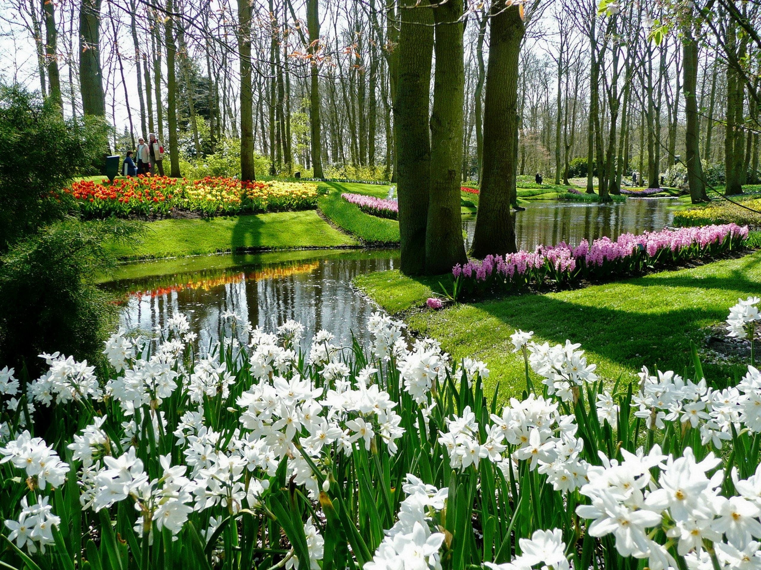 Flower garden by a pond