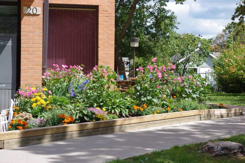 Flower garden by brick building