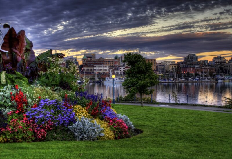 Flower Garden by Harbor