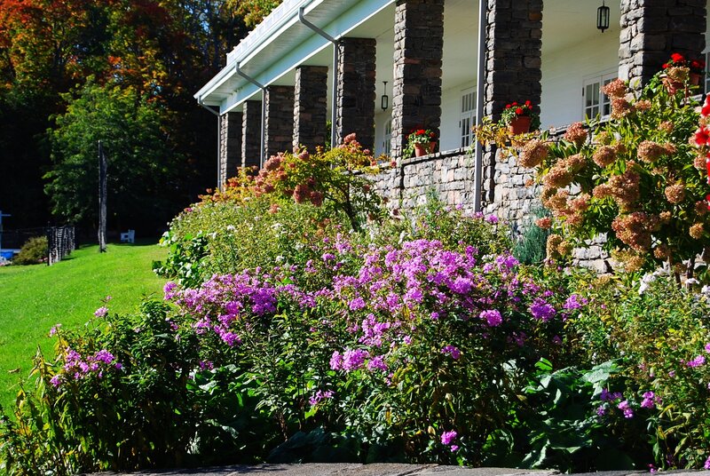 Flower Garden by House — Purple