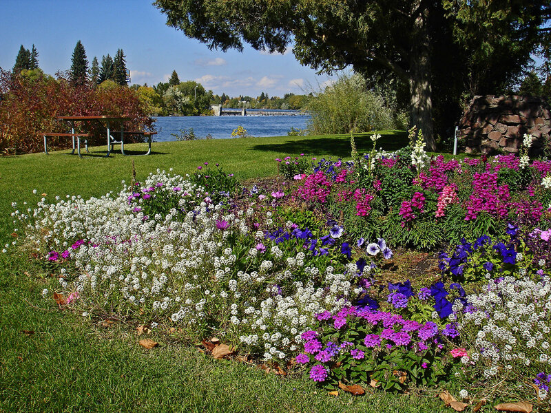 Flower Garden by Lake — Green