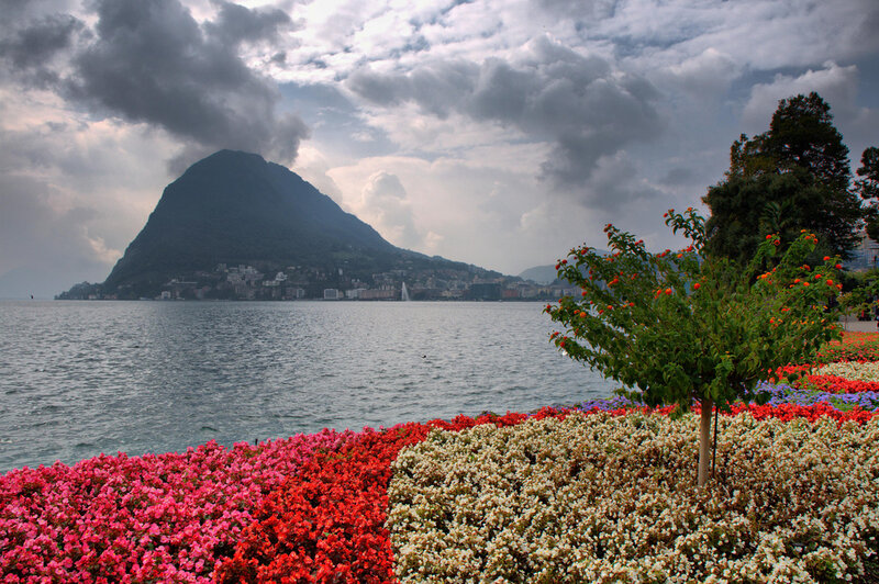 Flower Garden by Lake