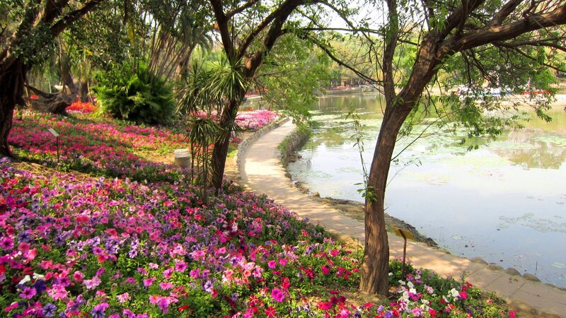 Flower Garden by Pond