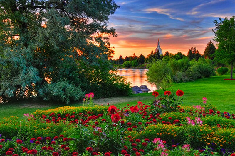 Flower Garden by River