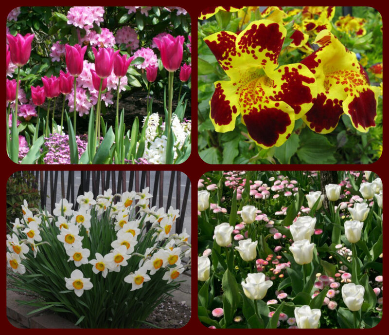 Flower Garden Collage