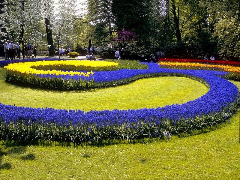 Flower Garden Design