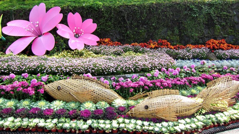 Flower Garden Display — Pink, Colorful
