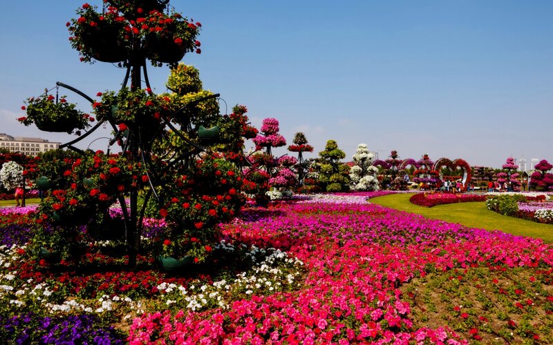 Flower Garden Display — Pink, Vibrant, Afternoon