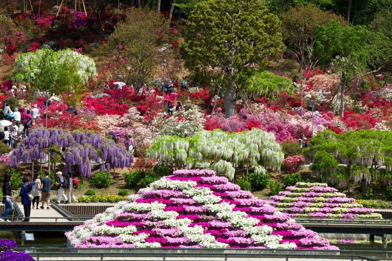 Flower Garden Display — Pink, Vibrant