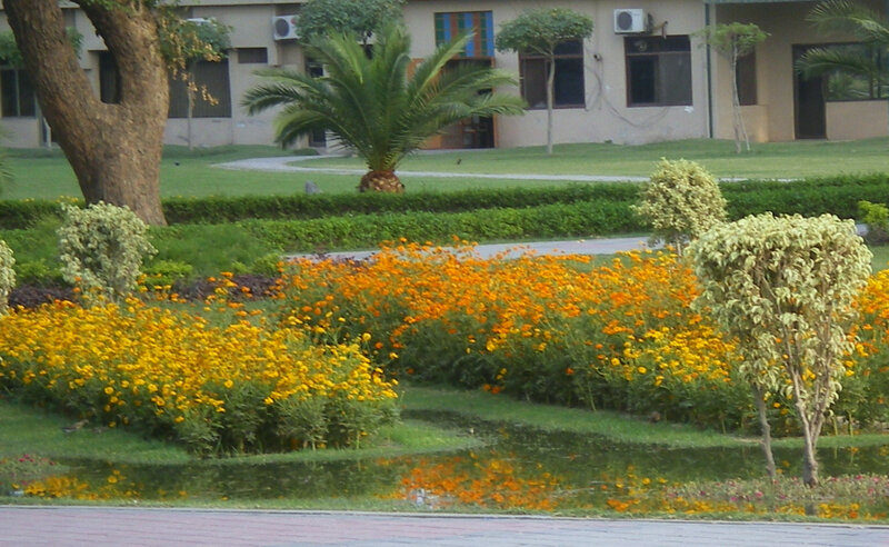 Flower garden in front of building