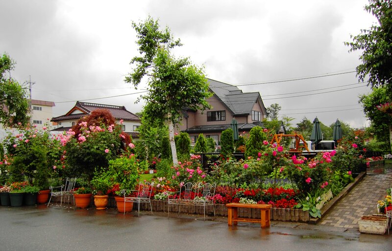 Flower Garden in Front of House
