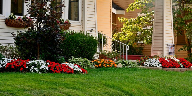 Flower Garden in Front Yard — Green, Serene