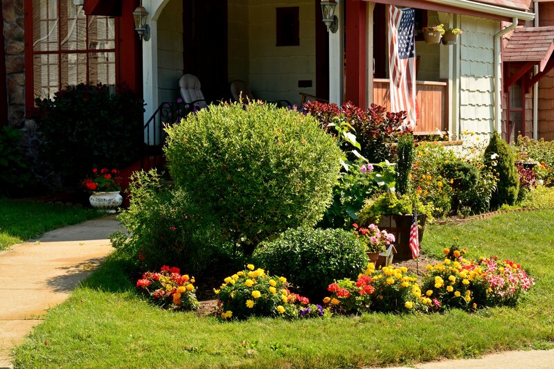 Flower Garden in Front Yard — Green
