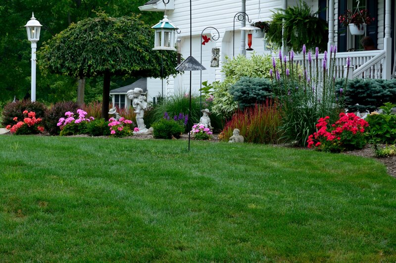 Flower Garden in Front Yard