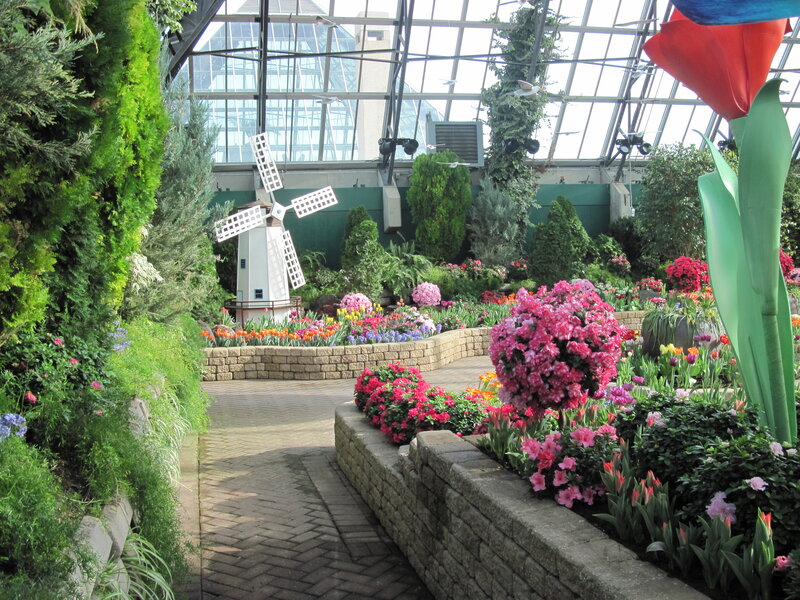 Flower Garden in Greenhouse — Green, Serene, Afternoon