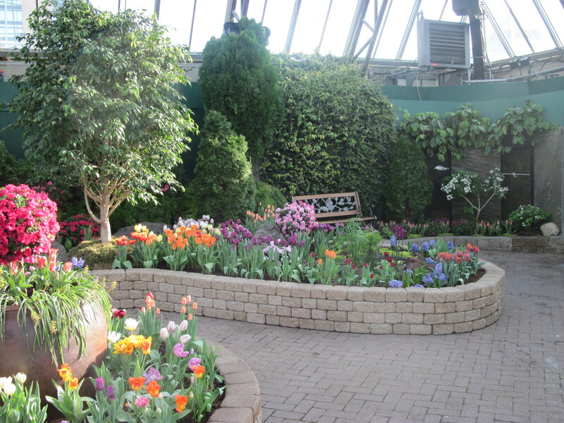 Flower Garden in Greenhouse — Green, Serene, Spring
