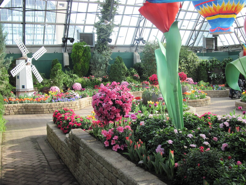 Flower Garden in Greenhouse — Pink, Serene