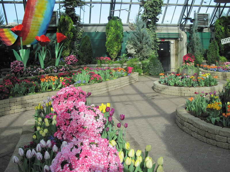 Flower Garden in Greenhouse — Pink