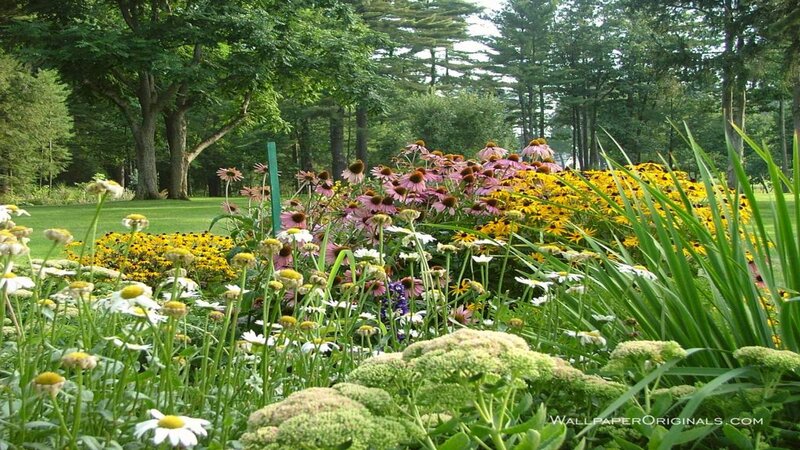 Flower Garden in Park — Green, Serene