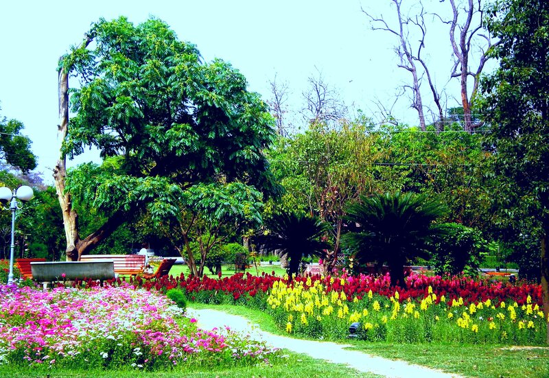 Flower Garden in Park — Green