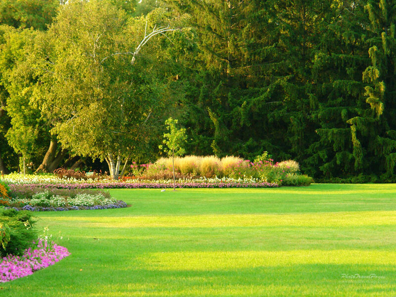Flower Garden in Park