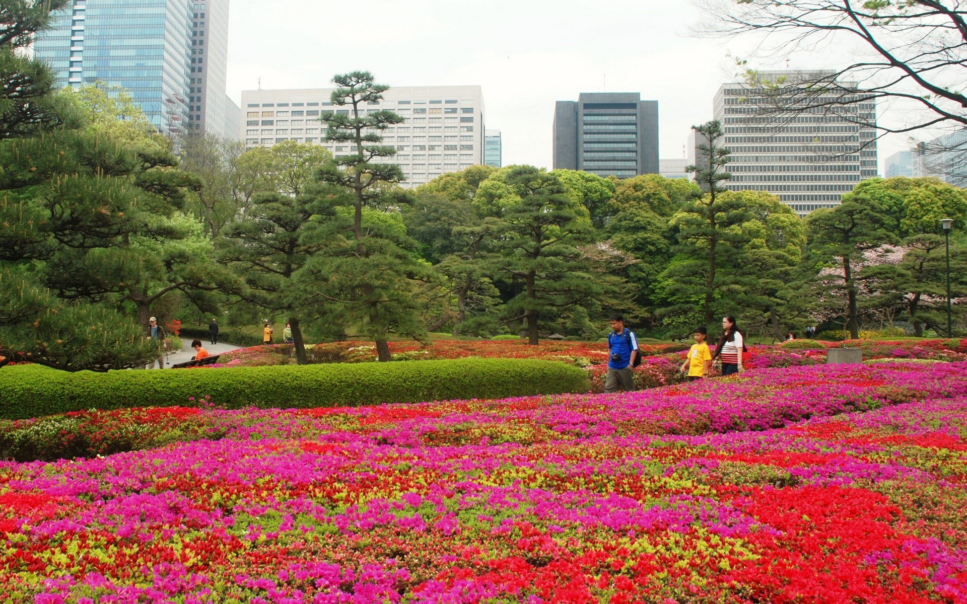 Flower garden in urban park